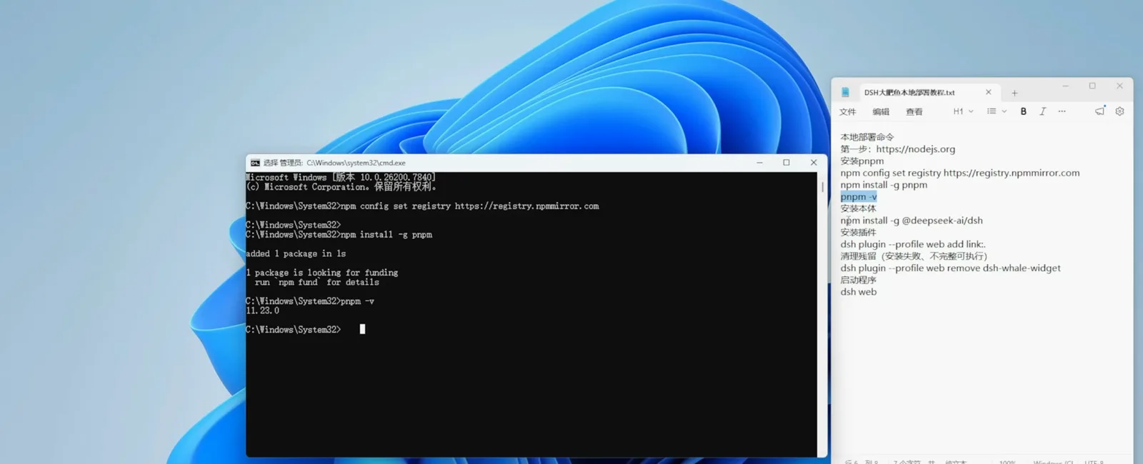 Administrator command prompt running npm config set registry https://registry.npmmirror.com and npm install -g pnpm before pnpm -v returns 11.23.0