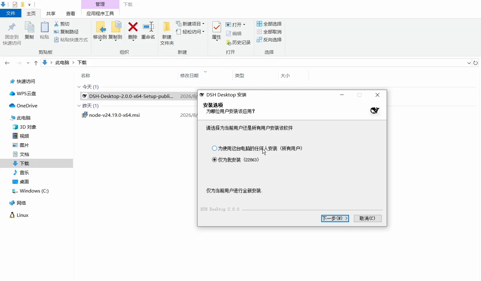 DSH Desktop 安装 NSIS wizard install-options page with only for me selected instead of all users on the account named 22863