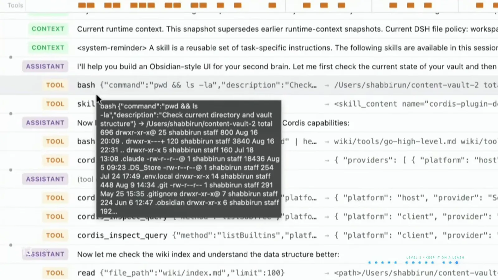 A hovered DSH TOOL row reveals the full bash pwd and ls output above the CONTEXT and ASSISTANT rows of the same turn.