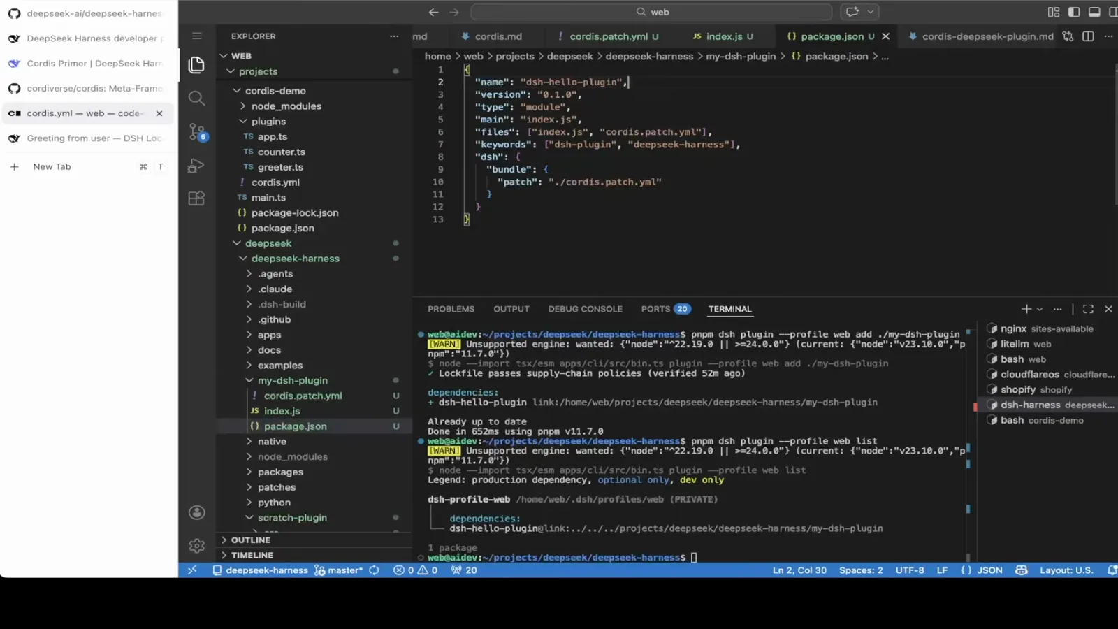 In a VS Code terminal, dsh plugin --profile web list prints the dsh-hello-plugin dependency and the PRIVATE profile path /home/web/.dsh/profiles/web. In a VS Code terminal, dsh plugin --profile web list prints the dsh-hello-plugin dependency and the PRIVATE profile path /home/web/.dsh/profiles/web.